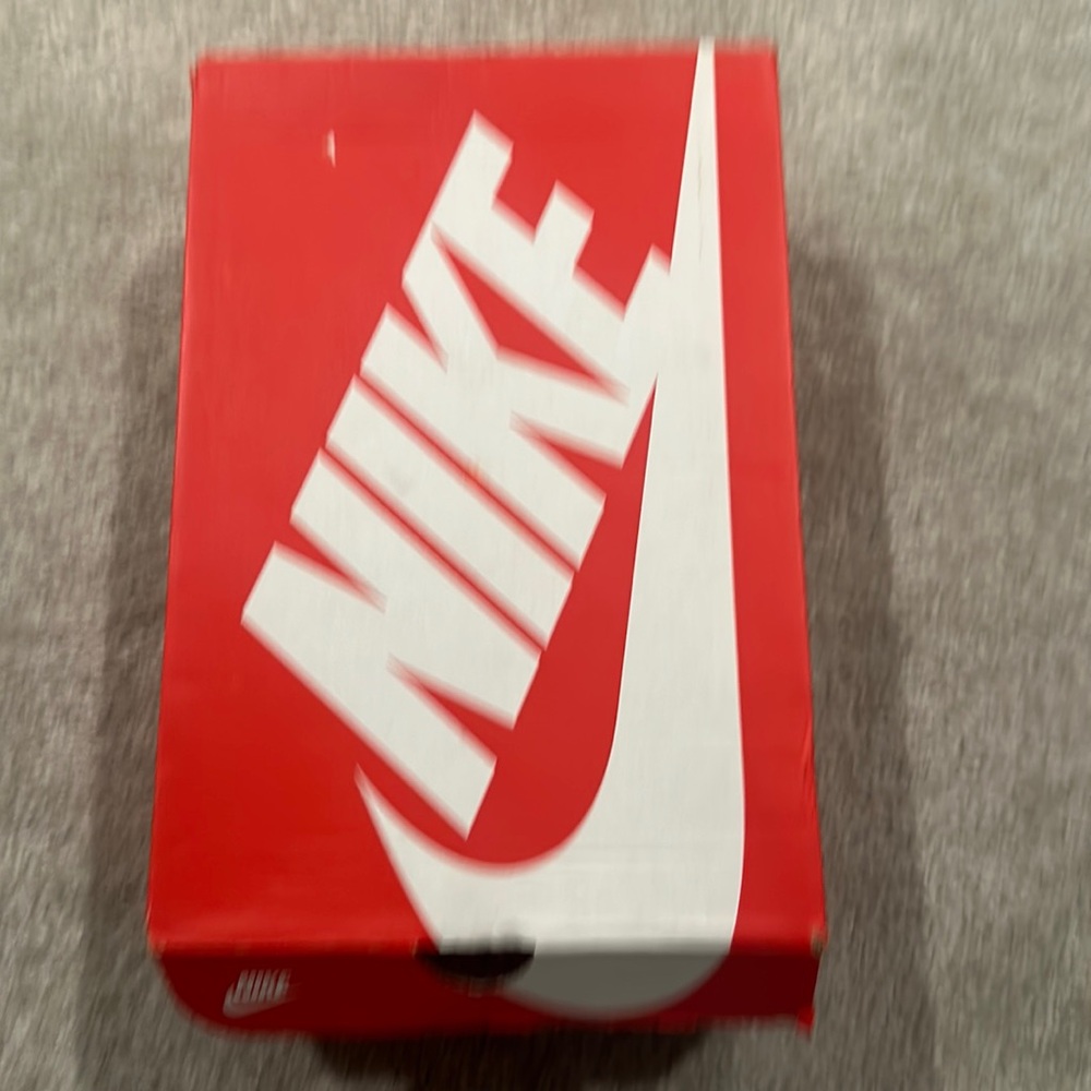 Nike dunk wore 3 times and has sat in the box